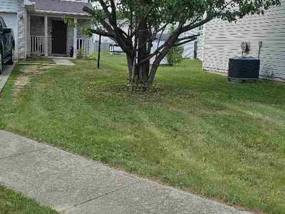 Lawn Care service in Corydon, 47112