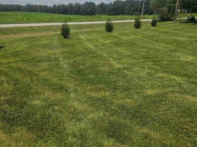 Lawn Care service in Charlestown, 47111
