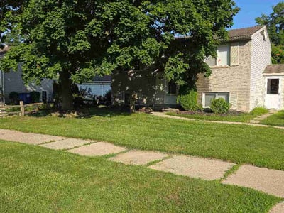 Lawn Care service in Westland, 48185
