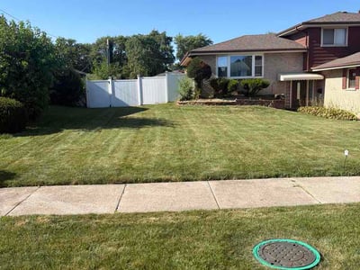 Lawn Care service in South Holland, 60473
