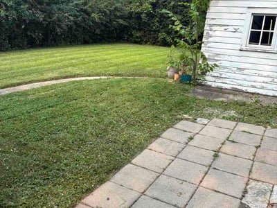 Lawn Care service in South Holland, 60473