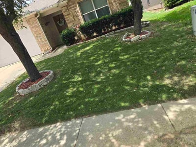 Lawn Care service in Alvarado, 76009