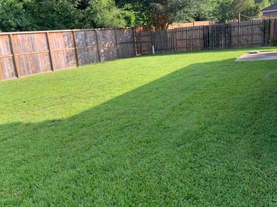 Lawn Care service in Alamo, 78516