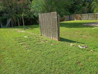 Lawn Care service in Alamo, 78516