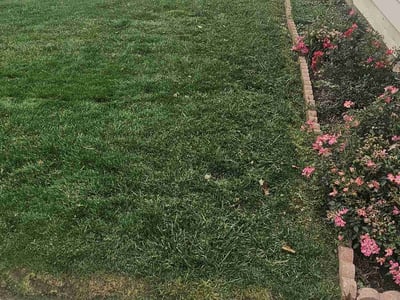 Lawn Care service in West Bend, 53095