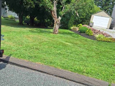 Lawn Care service in Ellington, 06029