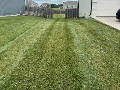 Lawn Care service in Grain Valley, 64029