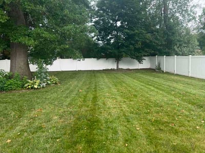 Lawn Care service in Ellington, 06029