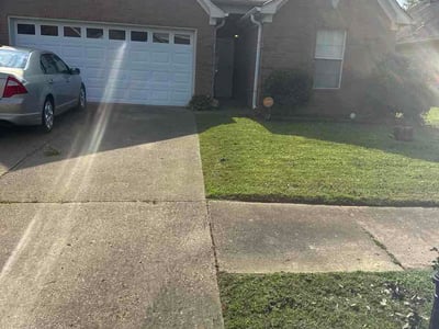 Lawn Care service in Olive Branch, 38654
