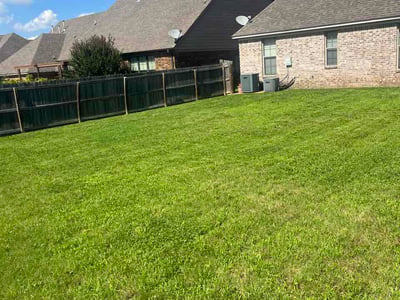 Lawn Care service in Olive Branch, 38654