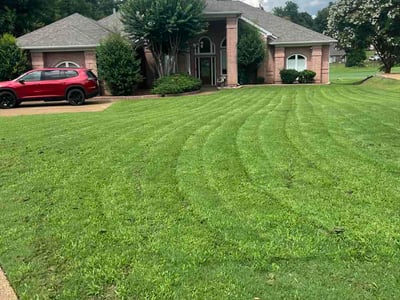 Lawn Care service in Olive Branch, 38654