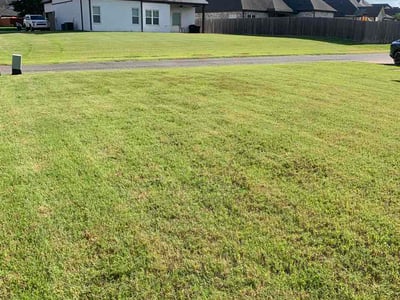 Lawn Care service in Olive Branch, 38654