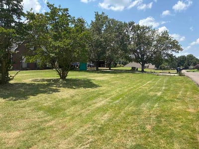 Lawn Care service in Olive Branch, 38654