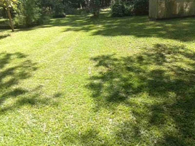 Lawn Care service in Cabot, 72023