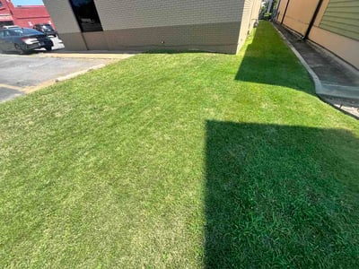Lawn Care service in Cabot, 72023