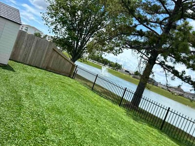 Lawn Care service in Mission, 78572