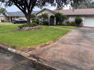 Lawn Care service in Mission, 78572