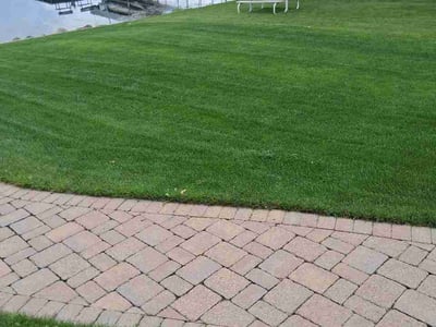 Lawn Care service in Sun Prairie, 53590