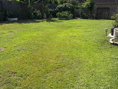 Lawn Care service in Mission, 78572