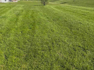 Lawn Care service in Urbandale, 50322