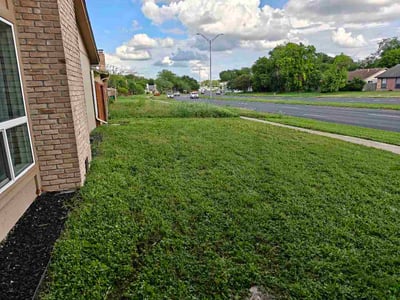 Lawn Care service in Battle Ground, 98604