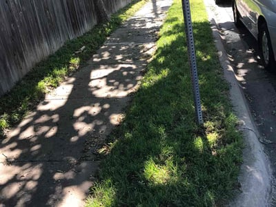 Lawn Care service in Battle Ground, 98604