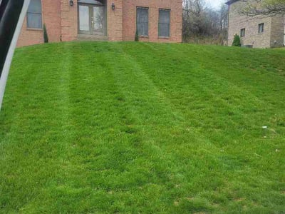 Lawn Care service in Sewickley, 15143