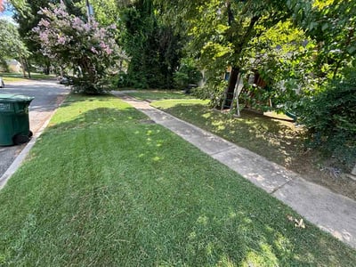Lawn Care service in Conway, 72032