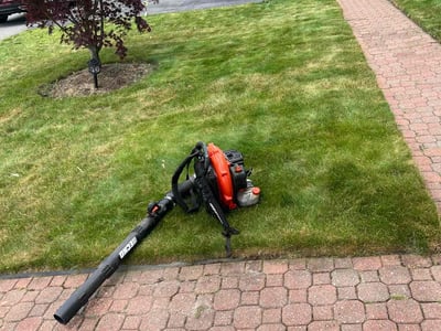 Lawn Care service in Milton, 02186