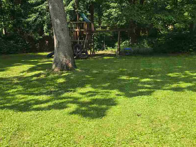 Lawn Care service in North Olmsted, 44070