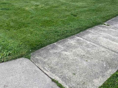 Lawn Care service in North Olmsted, 44070