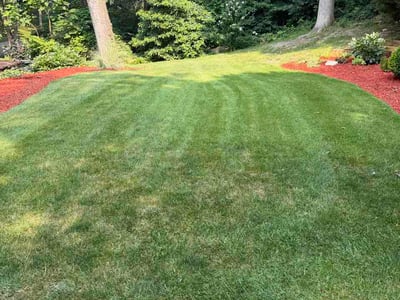 Lawn Care service in Griffith, 46319