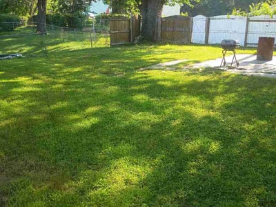 Lawn Care service in Griffith, 46319