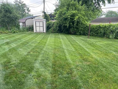 Lawn Care service in Griffith, 46319