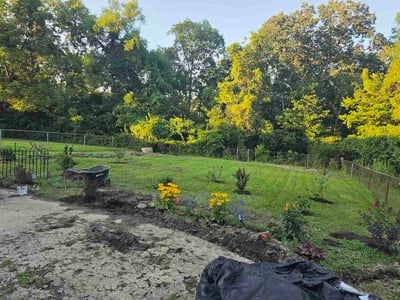 Lawn Care service in Burlington, 41005