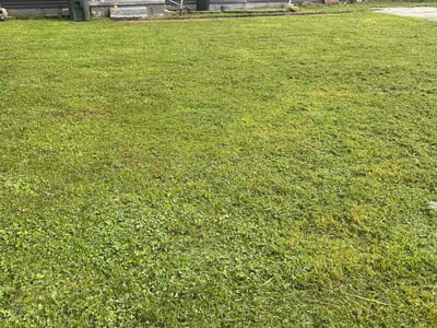 Lawn Care service in Ringgold, 30736