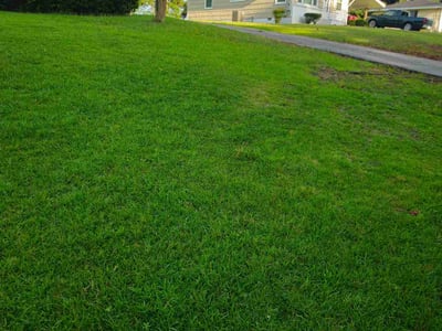 Lawn Care service in Calera, 35040