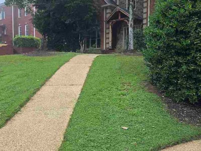 Lawn Care service in Calera, 35040