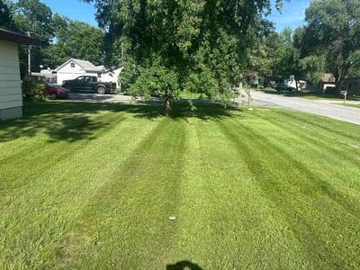 Lawn Care service in Demotte, 46310