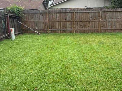 Lawn Care service in Freeport, 77541