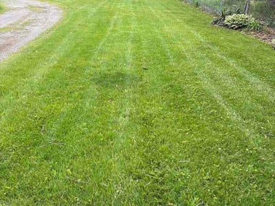 Lawn Care service in Demotte, 46310