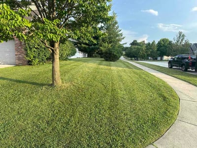 Lawn Care service in Valparaiso, 46383