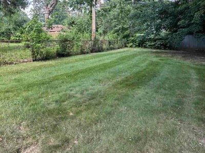 Lawn Care service in Lebanon, 46052
