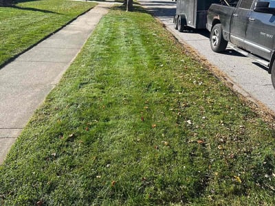 Lawn Care service in Highland, 46322