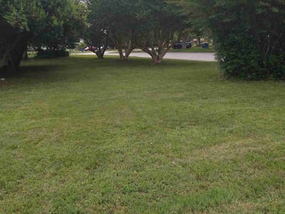 Lawn Care service in Wilmington, 01887