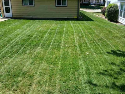 Lawn Care service in Menomonee Falls, 53051