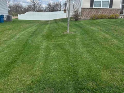 Lawn Care service in Crown Point, 46307