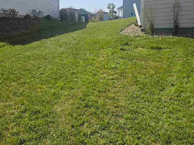 Lawn Care service in Menomonee Falls, 53051