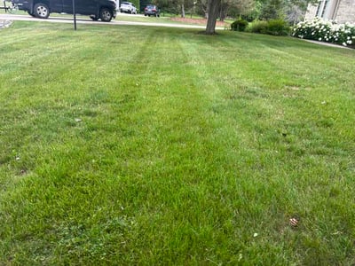 Lawn Care service in Menomonee Falls, 53051