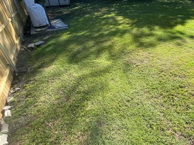 Lawn Care service in Lake Stevens, 98258